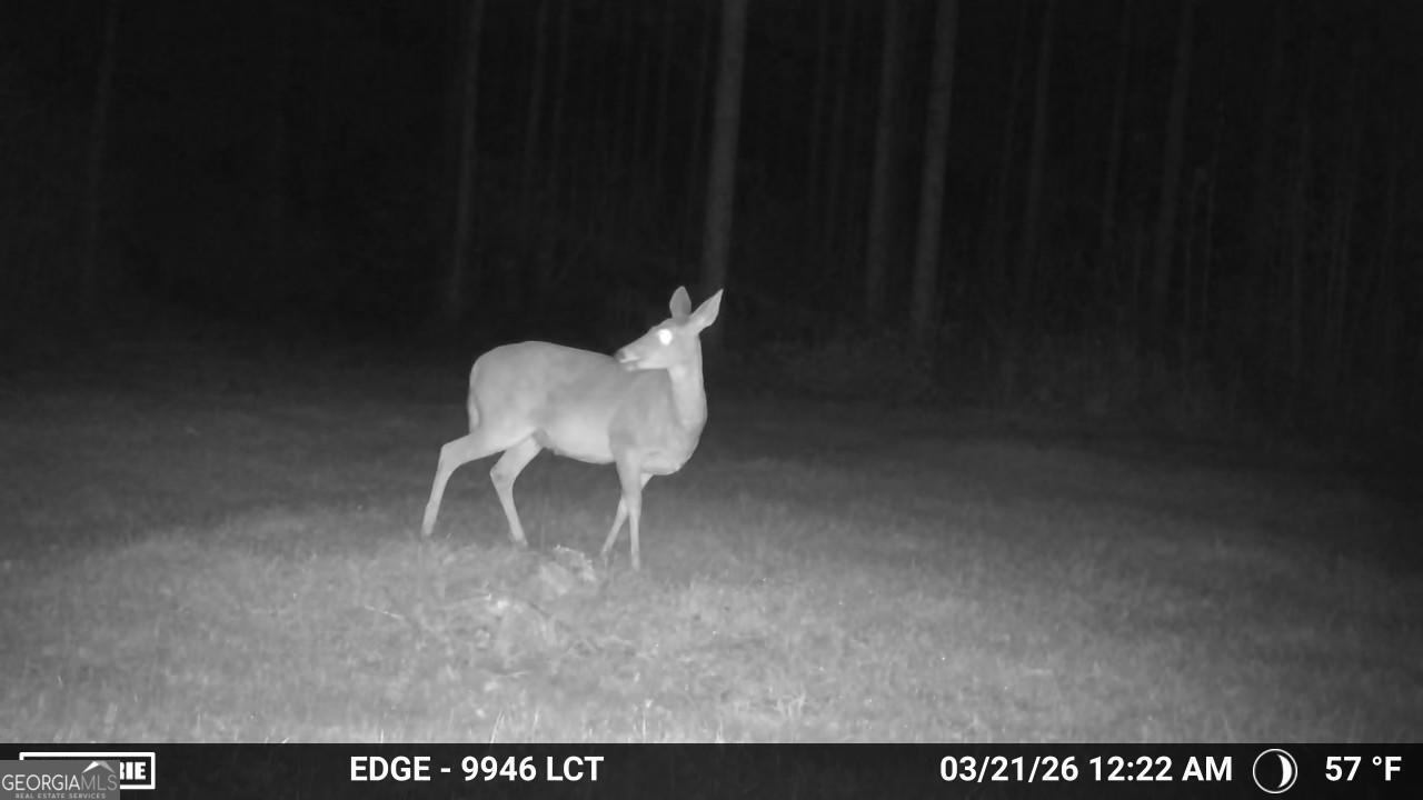 0 Long Cane Road Abbeville, SC 29620 - Photo 9 of 30
