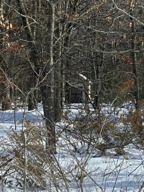 6373 Morris Lake Road Mears, MI 49436 - Photo 3 of 6 IMG_2478