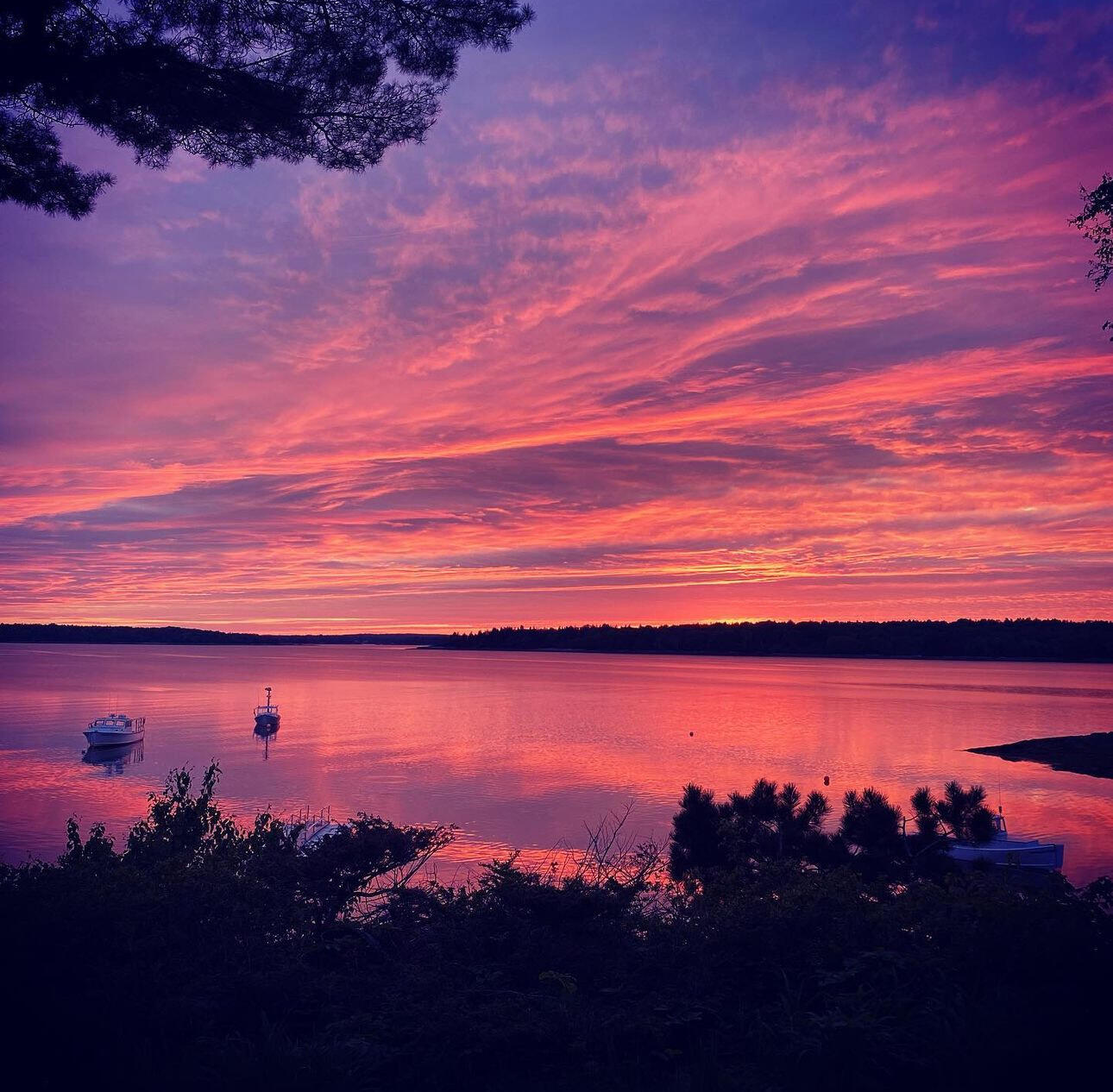22 Wood Landing Road Harpswell, ME 04079 - Photo 12 of 77 IMG_6722