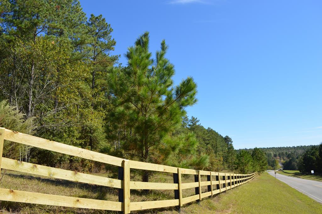 Lot 29 Anderson Pond Road Wagener, SC 29164 - Photo 1 of 3 a view of a balcony