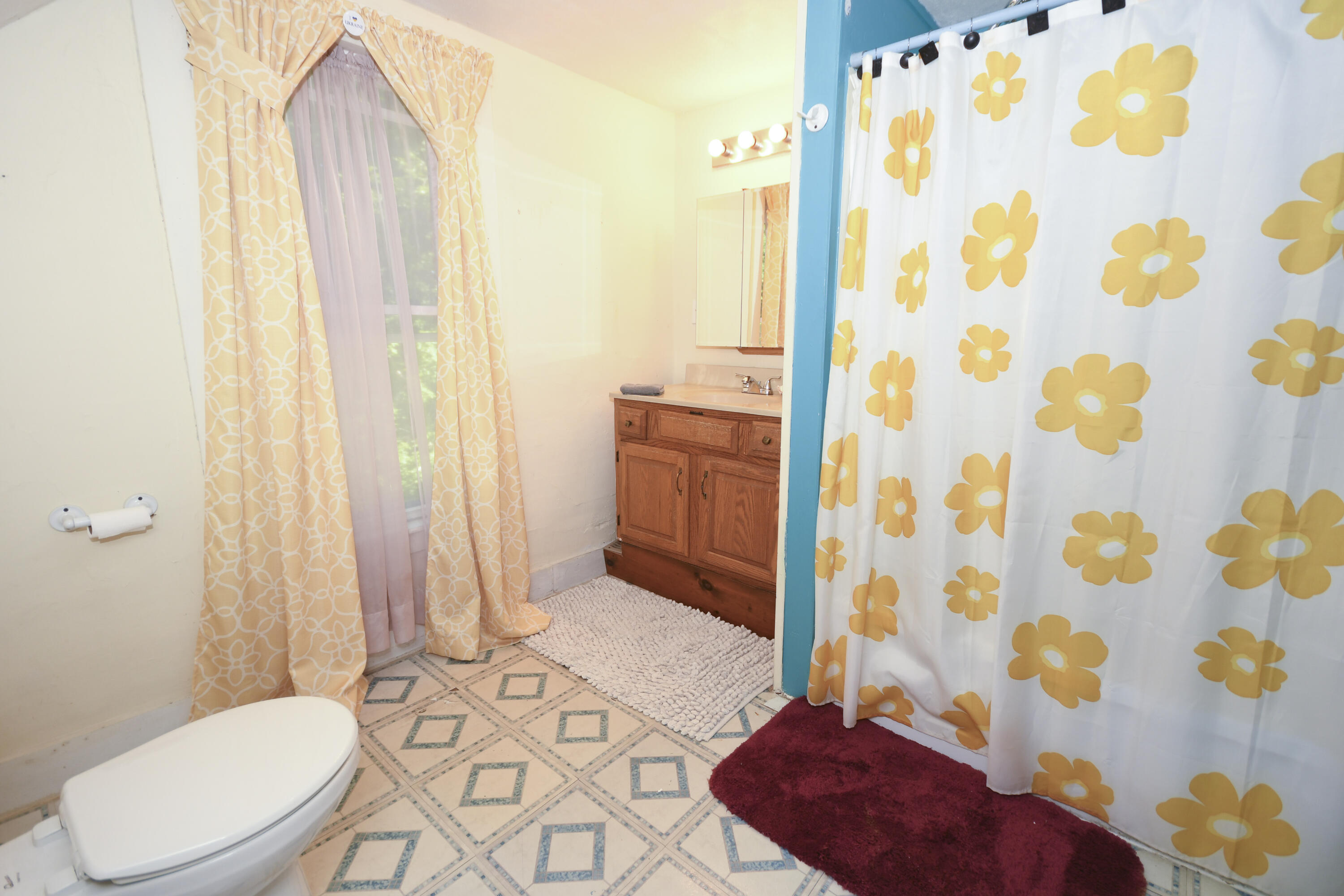 18 Bridge Street Cornish, ME 04020 - Photo 32 of 44 30DSC_4162