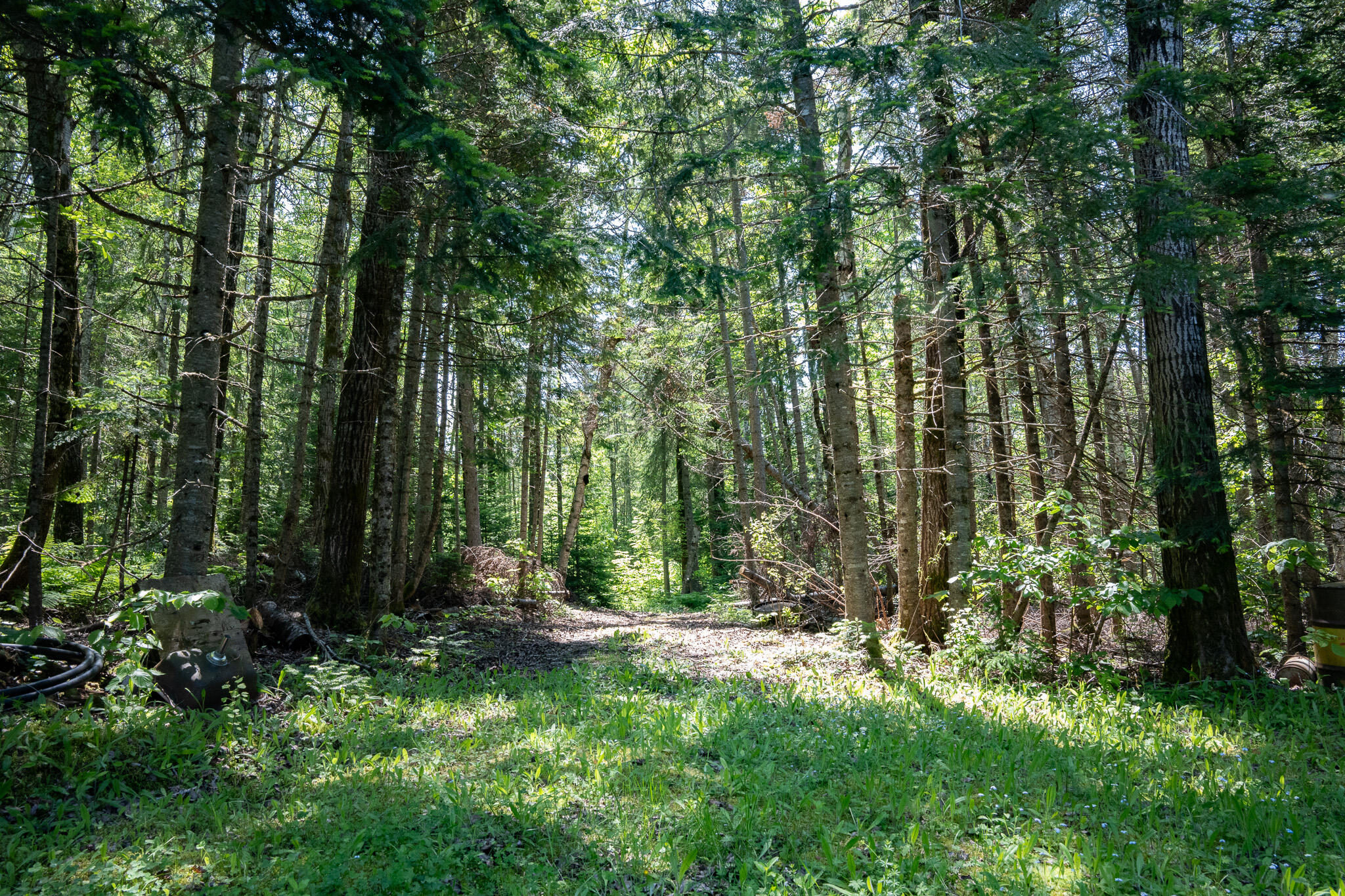 84 Mountain Road Presque Isle, ME 04769 - Photo 7 of 20 CDJ01161