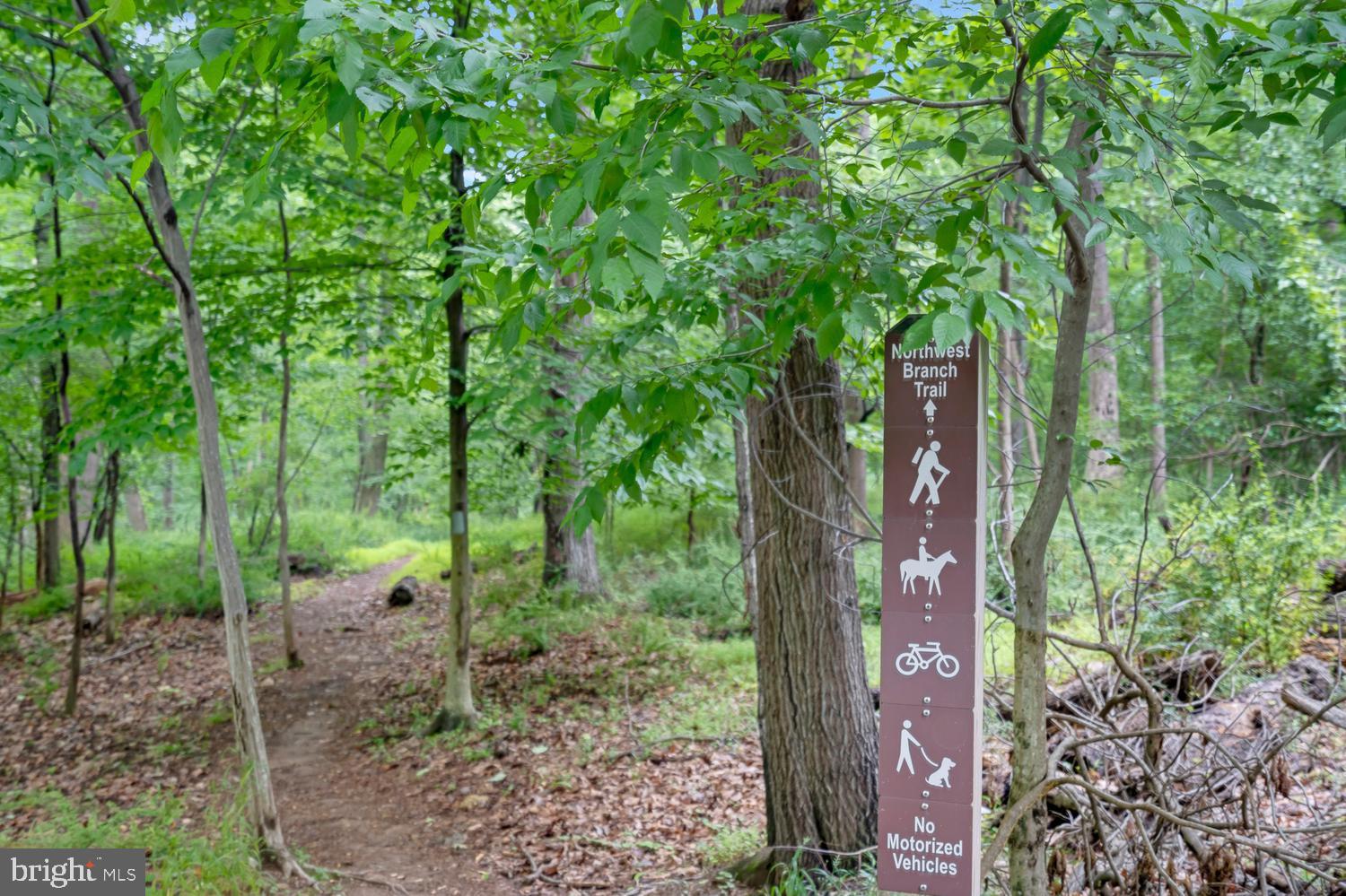 1308 Alderton Lane Silver Spring, MD 20906 - Photo 48 of 72 Northwest Branch Trail