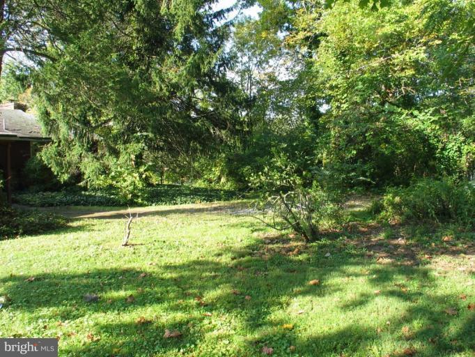 6203 West Halbert Road Bethesda, MD 20817 - Photo 6 of 6 Wooded View / Acreage