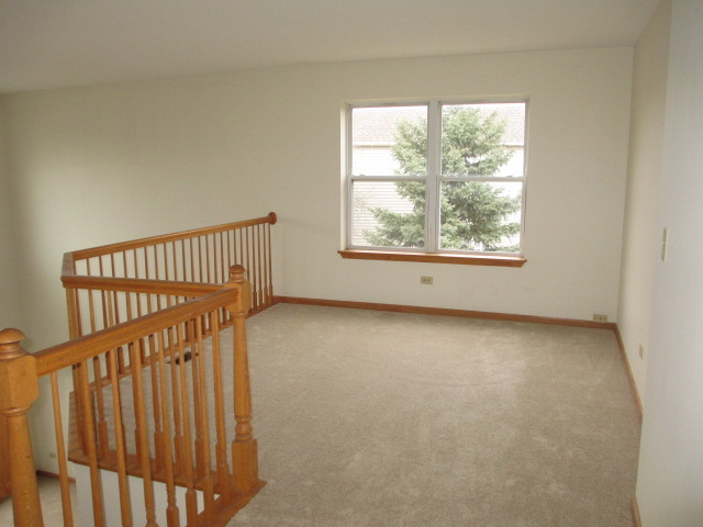 1900 Chestnut Grove Drive Plainfield, IL 60586 - Photo 12 of 23