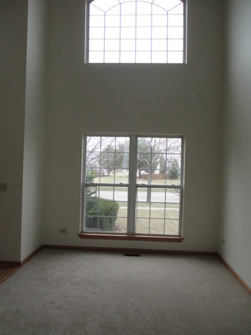 1900 Chestnut Grove Drive Plainfield, IL 60586 - Photo 13 of 23