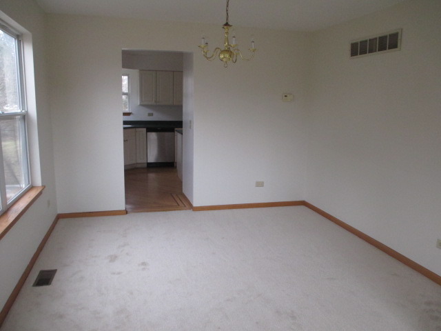 1900 Chestnut Grove Drive Plainfield, IL 60586 - Photo 14 of 23