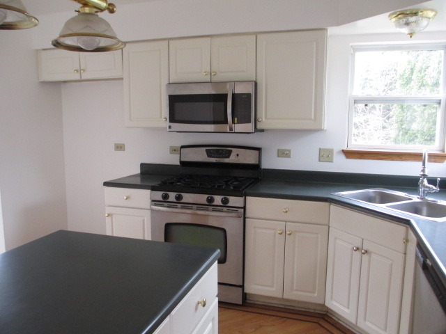 1900 Chestnut Grove Drive Plainfield, IL 60586 - Photo 15 of 23