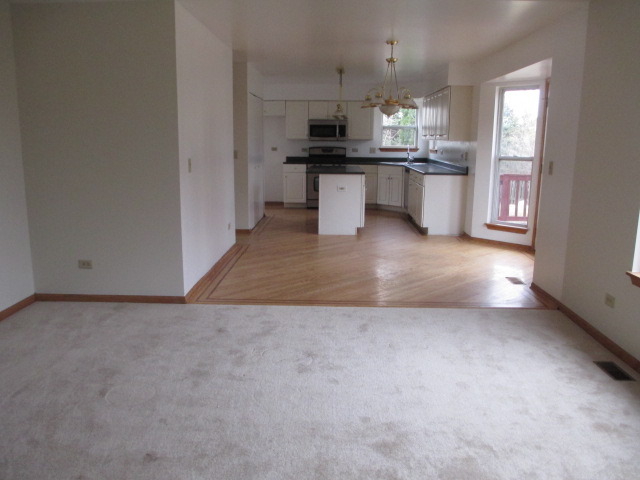 1900 Chestnut Grove Drive Plainfield, IL 60586 - Photo 17 of 23