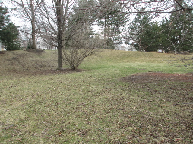 1900 Chestnut Grove Drive Plainfield, IL 60586 - Photo 2 of 23