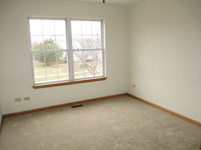 1900 Chestnut Grove Drive Plainfield, IL 60586 - Photo 4 of 23