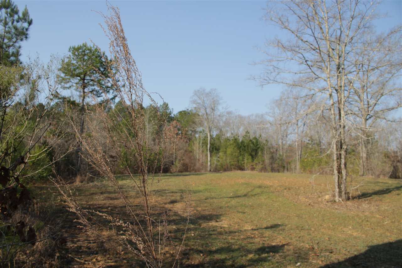 1 Mt Pilgrim Road Camden, MS 39045 - Photo 1 of 10 Photo 1