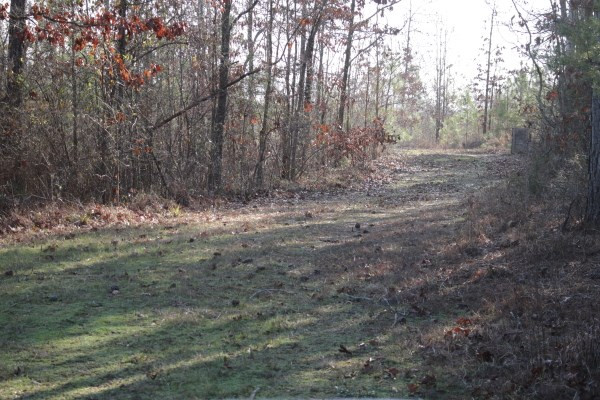 1 Mt Pilgrim Road Camden, MS 39045 - Photo 2 of 10 Photo 2