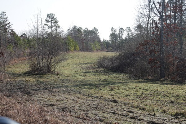 1 Mt Pilgrim Road Camden, MS 39045 - Photo 5 of 10 Photo 5