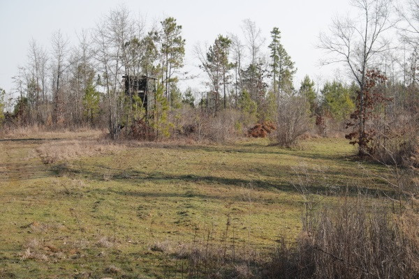 1 Mt Pilgrim Road Camden, MS 39045 - Photo 6 of 10 Photo 6