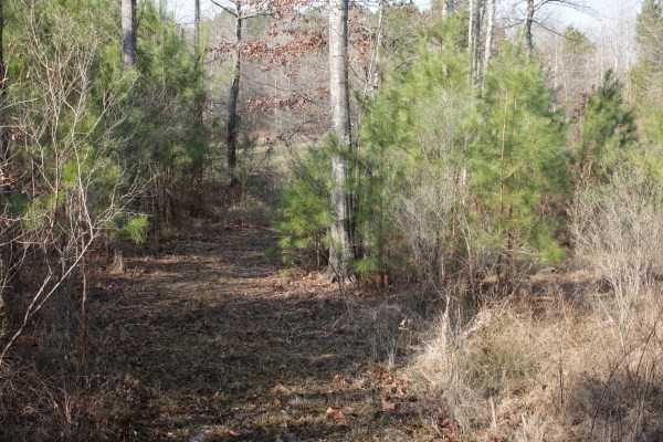 1 Mt Pilgrim Road Camden, MS 39045 - Photo 7 of 10 Photo 7