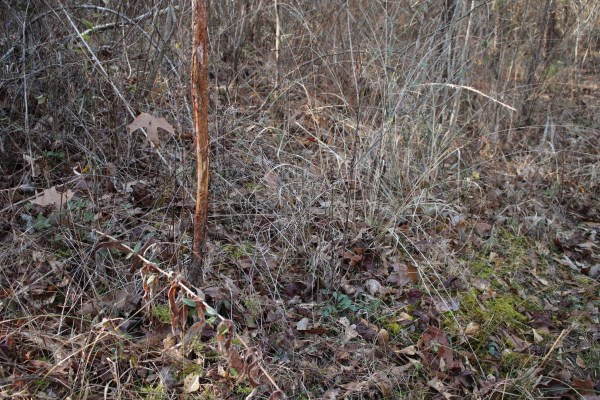 1 Mt Pilgrim Road Camden, MS 39045 - Photo 8 of 10 Photo 8