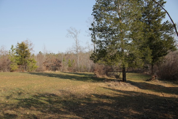 1 Mt Pilgrim Road Camden, MS 39045 - Photo 9 of 10 Photo 9