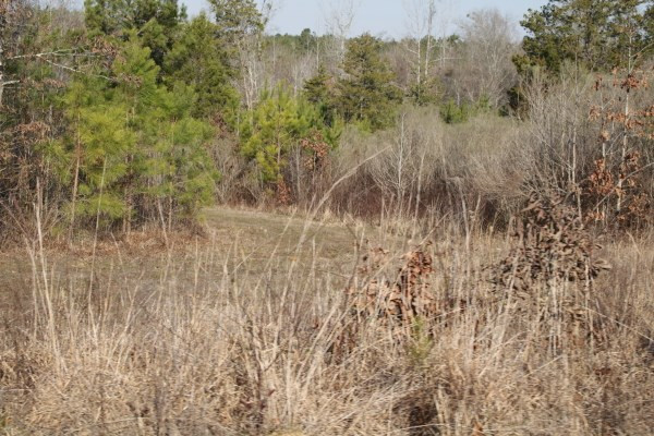 1 Mt Pilgrim Road Camden, MS 39045 - Photo 10 of 10 Photo 10