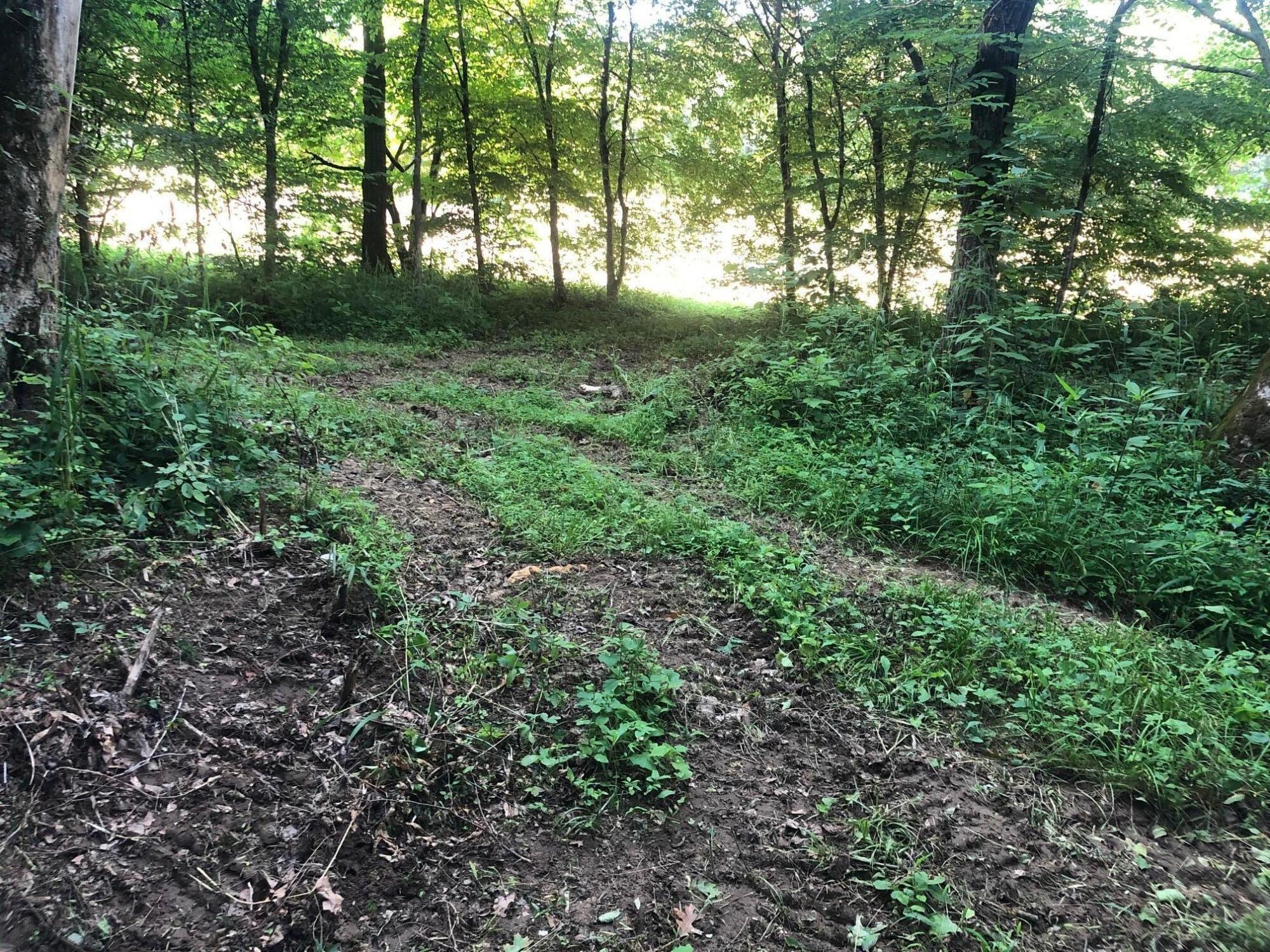 3051 Price Valley Road Somerset, KY 42501 - Photo 27 of 30 20210624155400110040000000-o