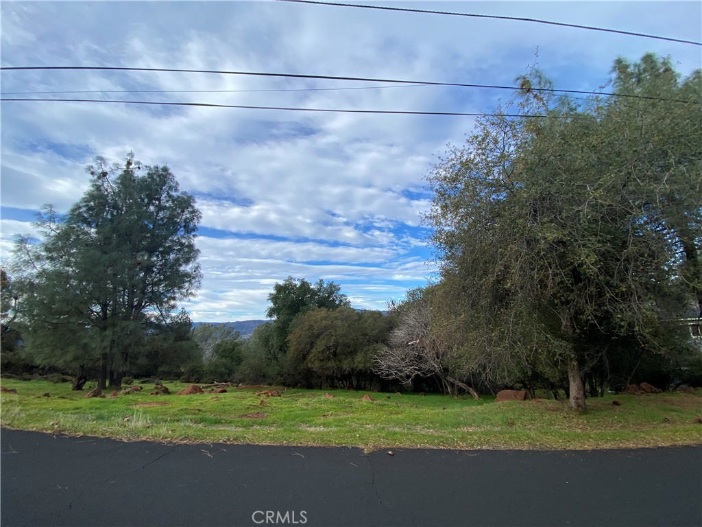 15749 Little Peak Road Hidden Valley Lake, CA 95467 - Photo 4 of 4 a view of a field with a tree in the background
