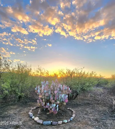 a view of a city with lots of trees