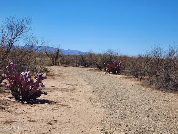 a view of beach and snow
