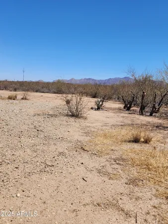 a view of a yard with snow on the road