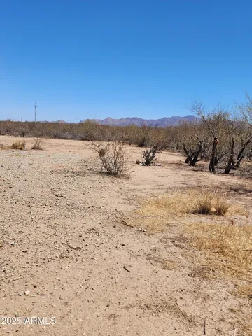 a view of a yard with snow on the road