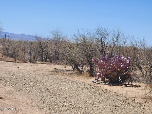 a view of snow on the side of a road