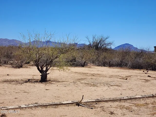a view of a dry yard covered with snow