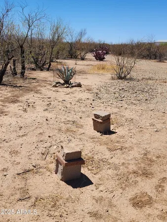 a view of a dry yard with a mountain