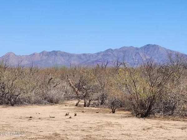 a view of swimming pool with a yard