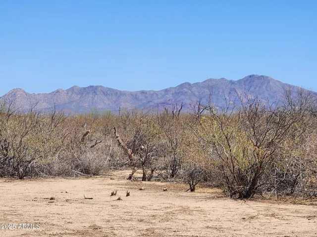 a view of swimming pool with a yard