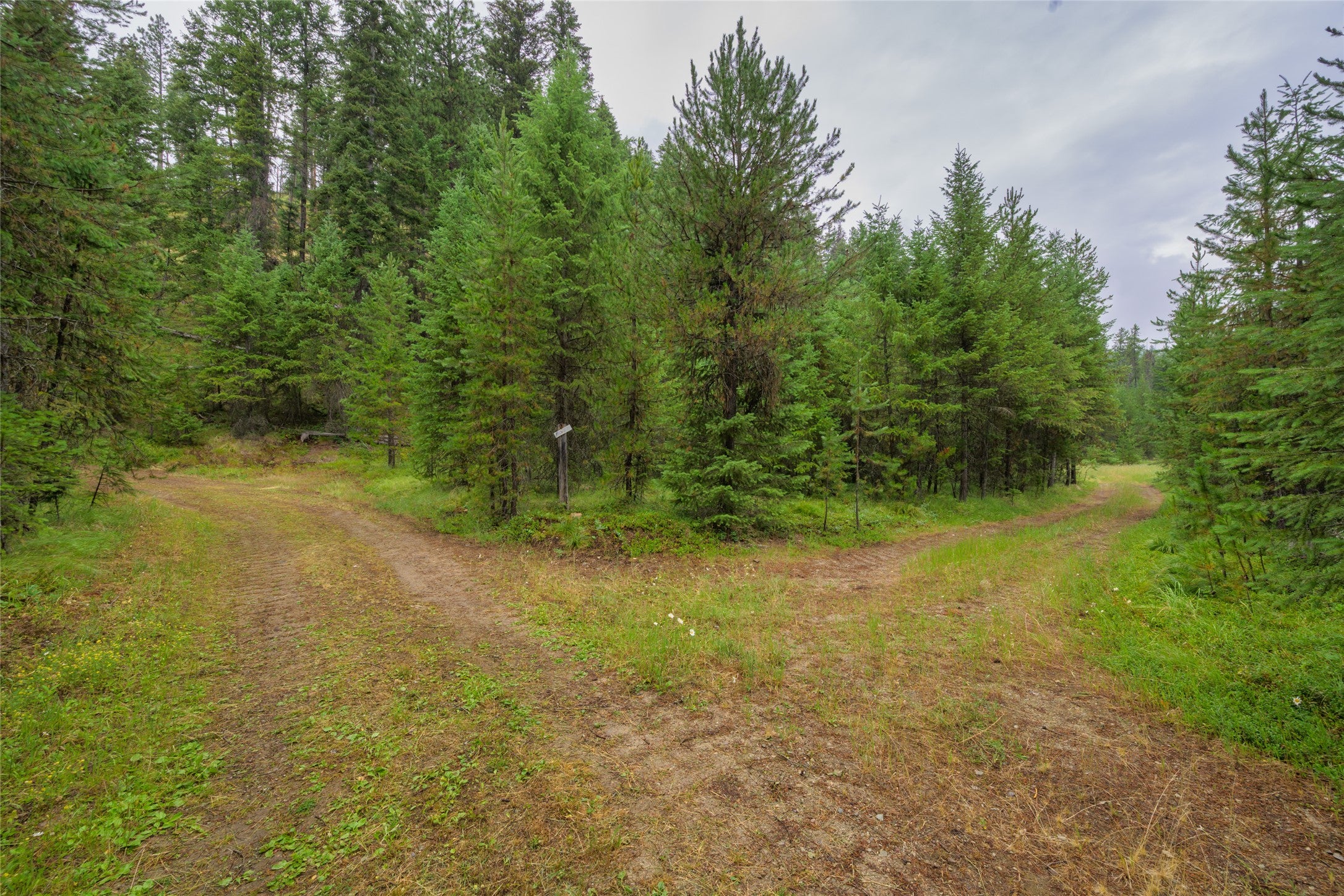435 Cabin City Loop Road St. Regis, MT 59866 - Photo 41 of 45 Gallery Image 41