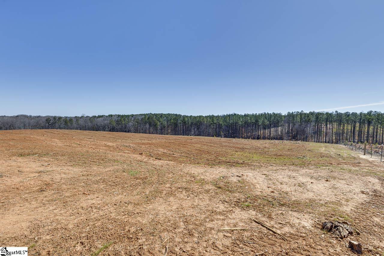 693 Elledge Road Ware Shoals, SC 29692 - Photo 15 of 34