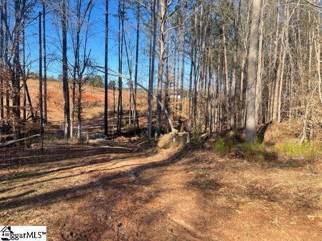 693 Elledge Road Ware Shoals, SC 29692 - Photo 17 of 34