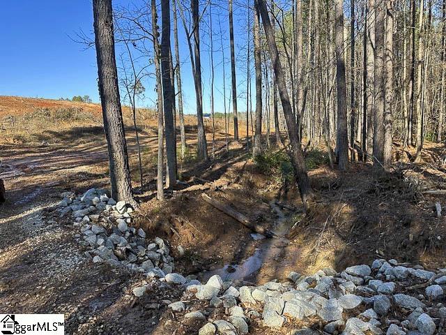 693 Elledge Road Ware Shoals, SC 29692 - Photo 19 of 34