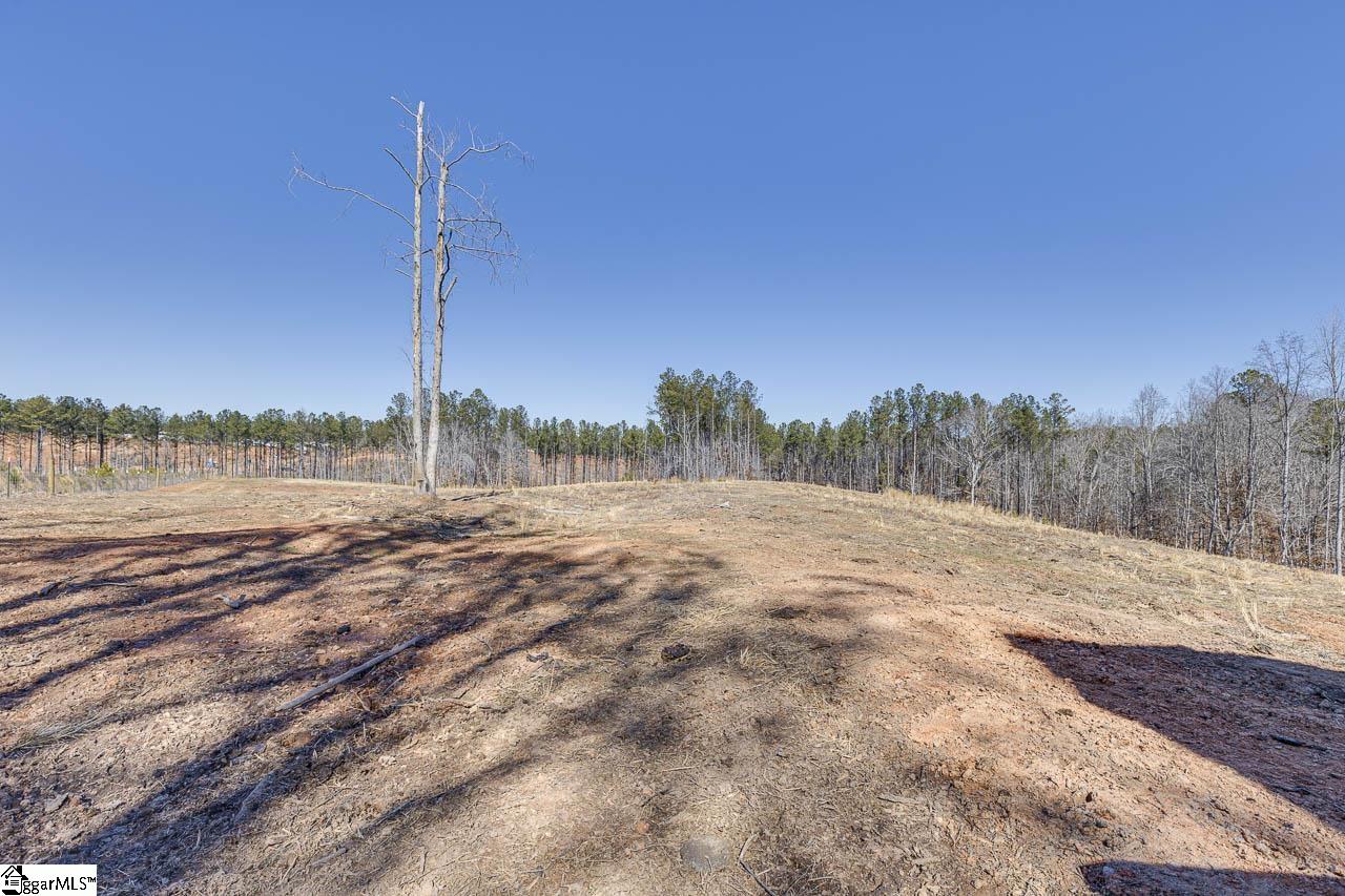 693 Elledge Road Ware Shoals, SC 29692 - Photo 24 of 34