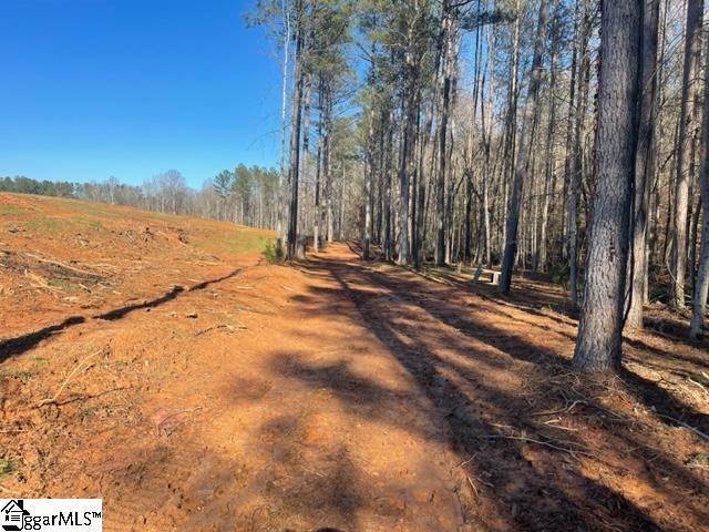 693 Elledge Road Ware Shoals, SC 29692 - Photo 25 of 34