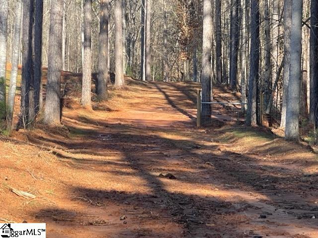 693 Elledge Road Ware Shoals, SC 29692 - Photo 26 of 34