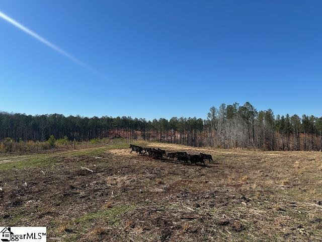 693 Elledge Road Ware Shoals, SC 29692 - Photo 28 of 34