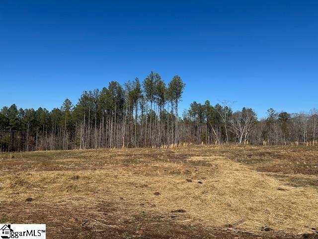 693 Elledge Road Ware Shoals, SC 29692 - Photo 29 of 34