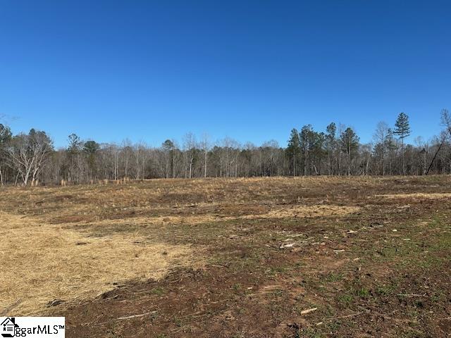 693 Elledge Road Ware Shoals, SC 29692 - Photo 30 of 34