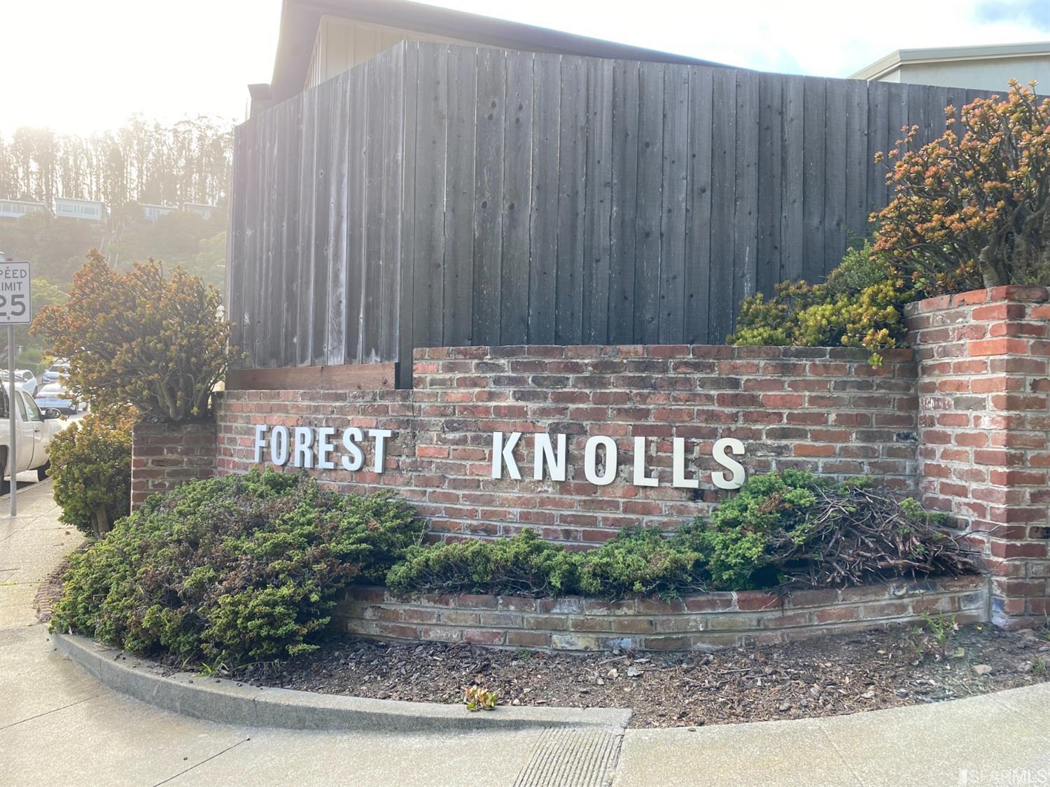 39 Warren Drive San Francisco, CA 94131 - Photo 49 of 63