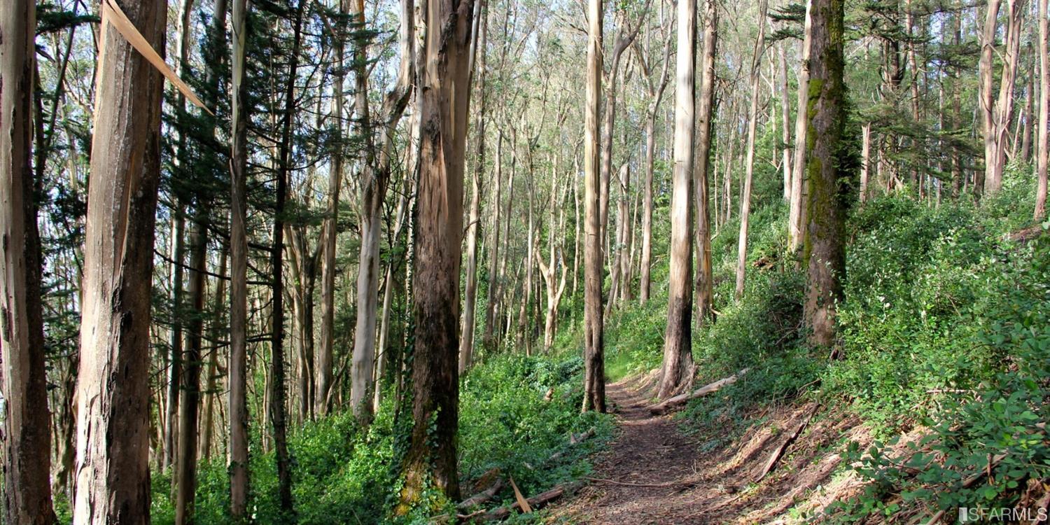 39 Warren Drive San Francisco, CA 94131 - Photo 52 of 63