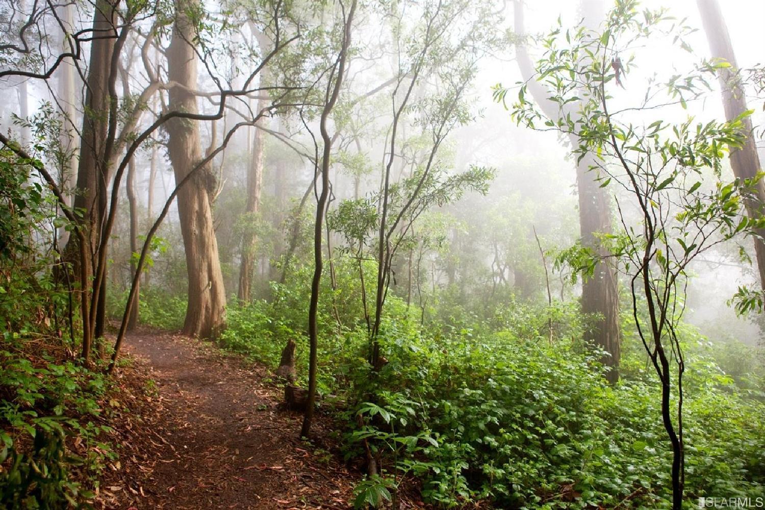 39 Warren Drive San Francisco, CA 94131 - Photo 53 of 63