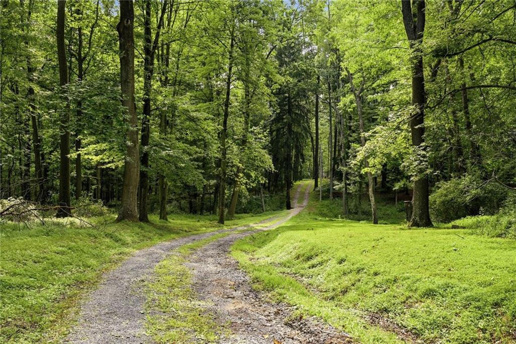 45 Stonedale Road Sewickley, PA 15143 - Photo 7 of 26 A long, tree-lined gravel driveway winds through towering hardwoods, creating a private and picturesque approach to the estate.