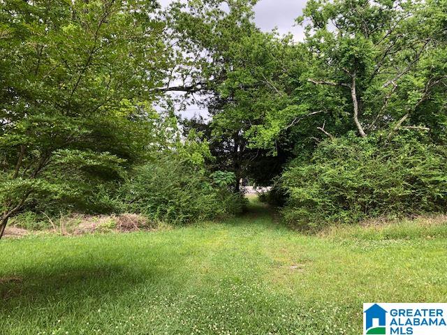 6283 Highway 119 Montevallo, AL 35115 - Photo 5 of 33