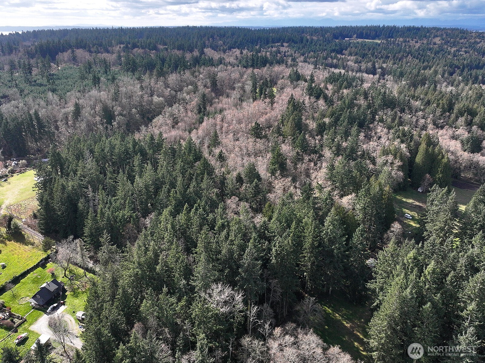 -xxx Xxx Scatchet Head Road Clinton, WA 98236 - Photo 31 of 34 a view of a forest with a street